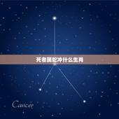 死者属蛇冲什么生肖，属相相刑是什么意思