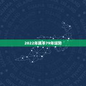 2022年属羊79年运势，2022年运势12生肖运势详解