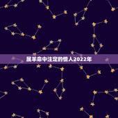 属羊命中注定的情人2022年，羊年2022 年的运势