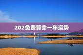 202免费算命一年运势，免费算命2023年气运