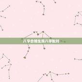 八字合婚生辰八字配对