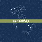 属羊的今年有几岁了，属羊的今年几岁对照表