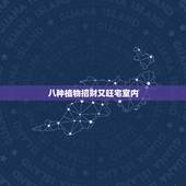 八种植物招财又旺宅室内，在客厅里养植物都有哪些风水讲究