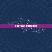 2007年出生的属相是，算命免费 生辰八字农历是阳历吗阴历？
