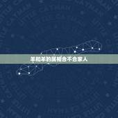 羊和羊的属相合不合家人，马和羊合不合