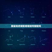 属鼠和虎相配婚姻如何相配吗，属鼠和属虎相配吗