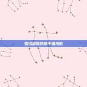 情侣房间的球干嘛用的，武汉情侣酒店，房间温