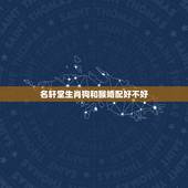 名轩堂生肖狗和猴婚配好不好，属猴的和属狗的婚姻配不配