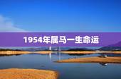 1954年属马一生命运，属马43岁是转折点