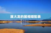 属大龙的属相婚配表，属龙的属相婚配表大全2017年版 属龙的和什么属相