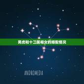 男虎和十二属相女的婚配情况，男属虎和女属龙的属相婚配合适吗