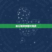 赵公明财神图片骑虎，赵公明财神的坐骑是什么？