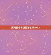 属狗的今年运势怎么样2022，今年属狗的运势