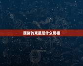 属猪的克星是什么属相，71年属猪49岁有一灾2022