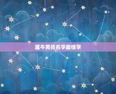 属牛男孩名字最佳字，属牛男孩最吉利的名字