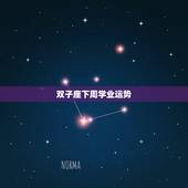 双子座下周学业运势，双子座学习下周运势
