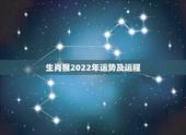 生肖猴2022年运势及运程，2022年生肖猴运势凶运