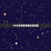 1995年是苦命猪还是富猪，1995年属猪的人是什么命