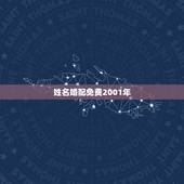 姓名婚配免费2001年，免费爱情姓名配对