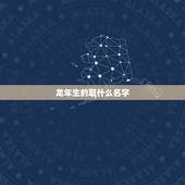 龙年生的取什么名字，起名 免费取名大全