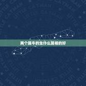 两个属牛的生什么属相的好，属牛要什么属相的孩子好