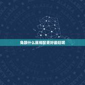 兔跟什么属相配更好最旺呢，1999年属兔婚配
