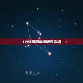 1993属鸡的婚姻与命运，2022 年1993年属鸡女运势