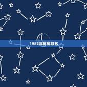 1987年属兔取名，87年属兔蔡姓男孩取名字