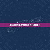 牛年酉时出生的男孩五行缺什么，牛年出生的宝宝缺什么