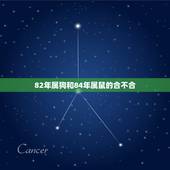 82年属狗和84年属鼠的合不合，我是1982年属狗的，他是1984年属