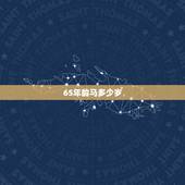 65年的马多少岁，1966年多大年龄