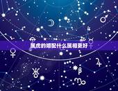 属虎的婚配什么属相更好，属虎和属马的夫妻结局