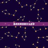 属虎的男孩取什么名字 2022感情婚姻最顺利星座