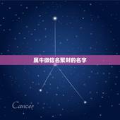 属牛微信名聚财的名字，85年属牛的微信网名招来财运的微信网名是什么好