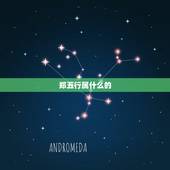 郑五行属什么的，生辰八字婚配查询表