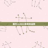 属牛人2022本命年运势，属猪2022 年运势及运程