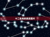 十二生肖的真实图片，请问那张图片谁有啊 十二生肖一张图 上面是十二个人