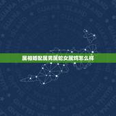 属相婚配属男属蛇女属鸡怎么样，男属蛇女属鸡配吗_蛇和鸡配吗