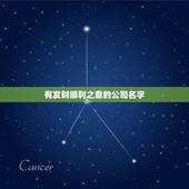 有发财顺利之意的公司名字，高端大气的公司名字