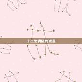 十二生肖鼠的克星，12生肖中谁是鼠的克星