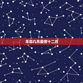 羊命几月最苦十二月，农历十二个月的别称
