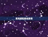 属龙婚配最佳属相，男属虎和女属龙的属相婚配合适吗