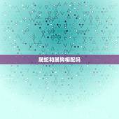 属蛇和属狗相配吗，属蛇和属狗的相配吗
