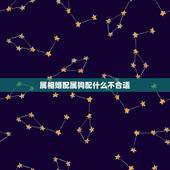 属相婚配属狗配什么不合适，属狗的男人和什么属相最配