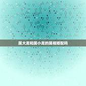 属大龙和属小龙的属相婚配吗，女大龙男小龙相克吗