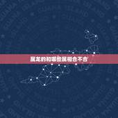 属龙的和哪些属相合不合，属相龙和哪个属相不合？