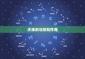 天珠的功效和作用，天珠用水怎么辨别真假