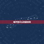 客厅养什么花最吉利，室内养什么花最适合？
