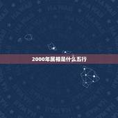 2000年属相是什么五行，2000年属龙是什么命