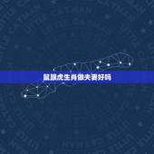 鼠跟虎生肖做夫妻好吗，男鼠女虎能过一辈子吗